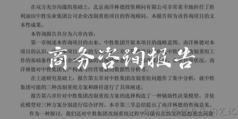 商务咨询报告