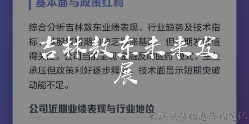 吉林敖东未来发展:吉林敖东未来的发展战略重点是什么？