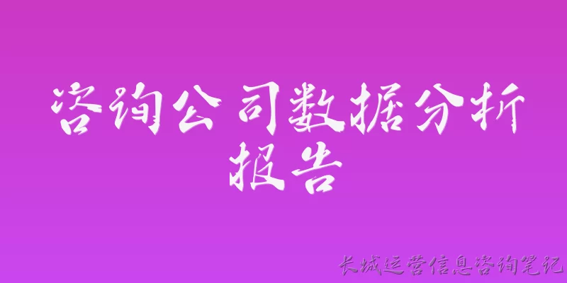 咨询公司数据分析报告