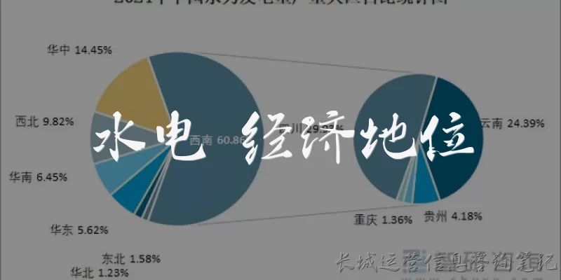 水电 经济地位