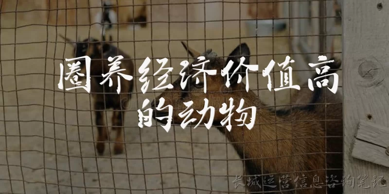 圈养经济价值高的动物:圈养经济价值高的动物有哪些常见种类？
