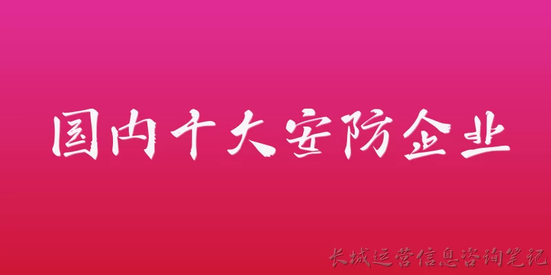 国内十大安防企业