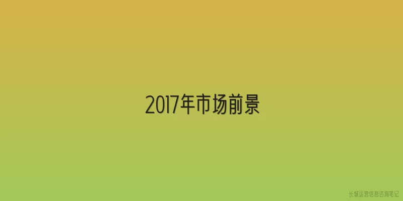 2017年市场前景