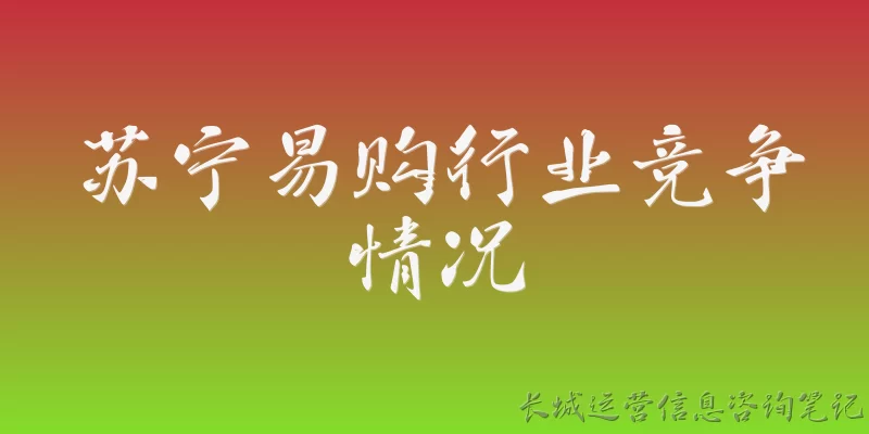苏宁易购行业竞争情况