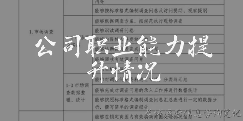 公司职业能力提升情况