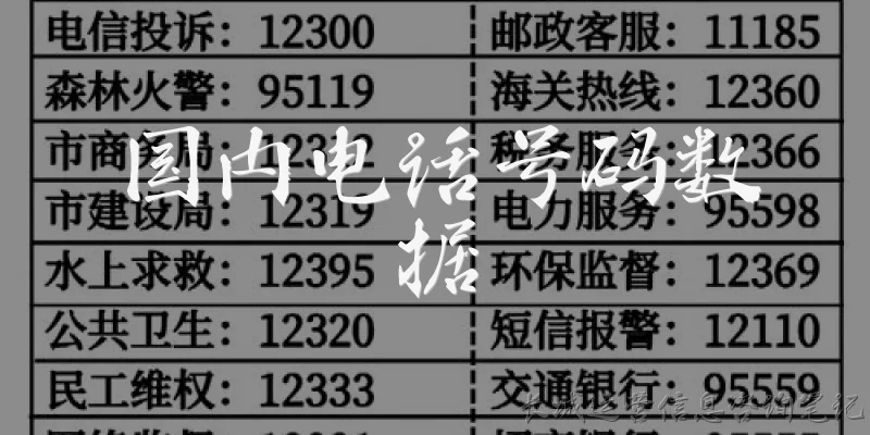 国内电话号码数据:国内电话号码数据通常包括哪些类型？