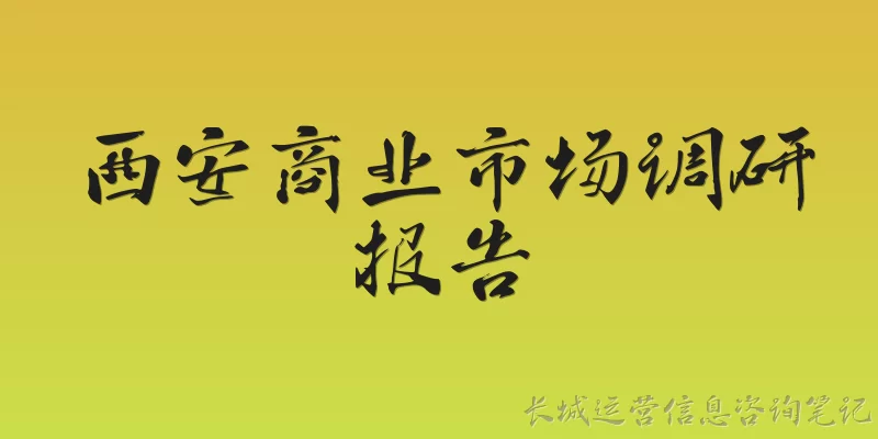 西安商业市场调研报告