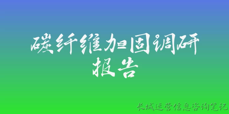 Carbon Fiber Reinforcement Research Report