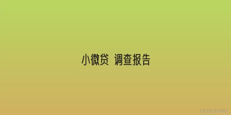 小微贷 调查报告