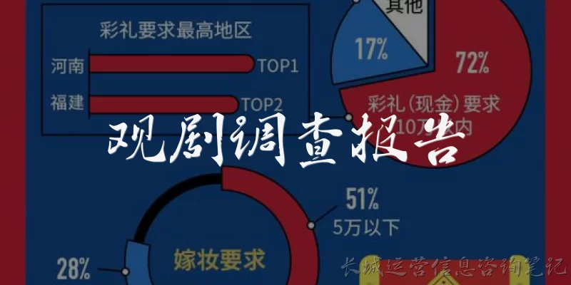 观剧调查报告