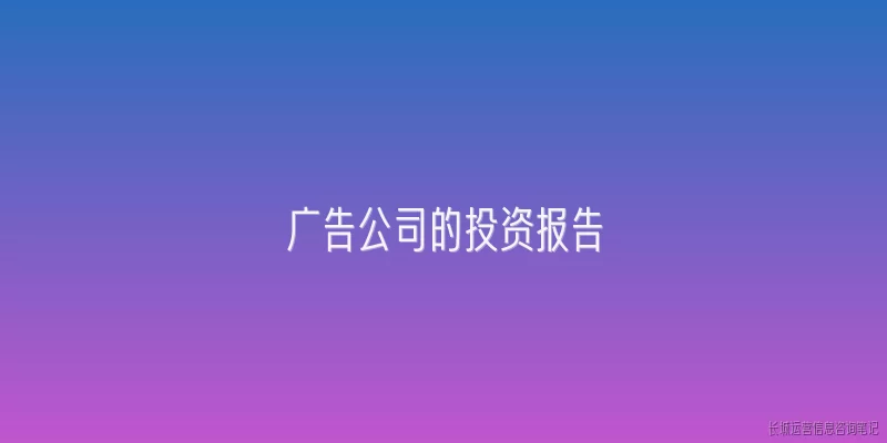 广告公司的投资报告