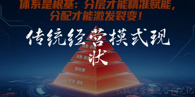 传统经营模式现状:传统经营模式在当前市场环境下的主要现状是什么?