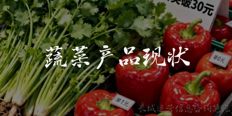 蔬菜产品现状:当前蔬菜产品的主要现状特点有哪些？