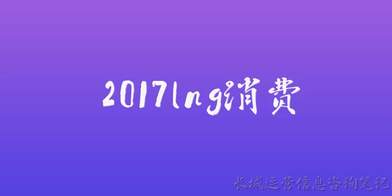 2017lng消费