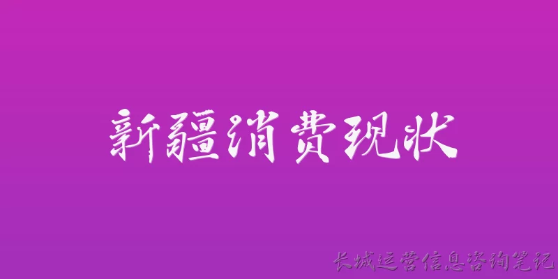 新疆消费现状