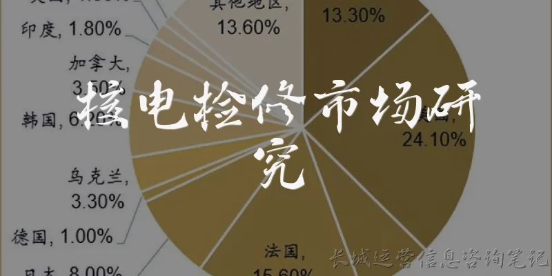 核电检修市场研究:什么是核电检修市场研究?
