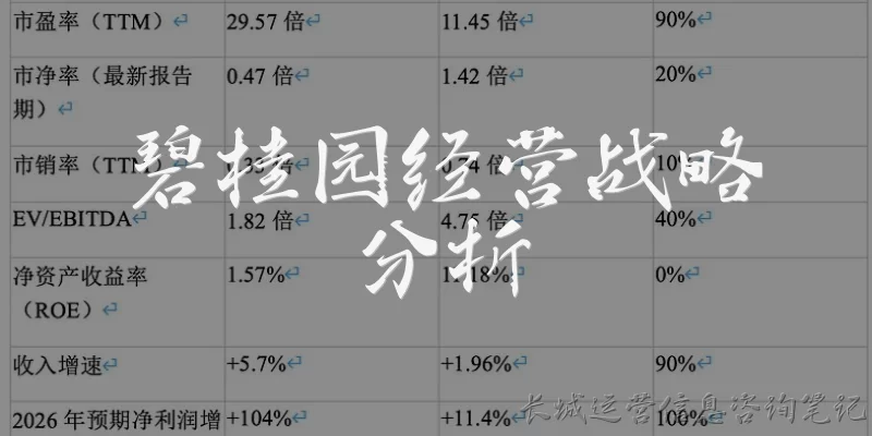 碧桂园经营战略分析